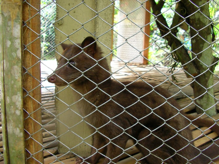 SANY0135.jpg