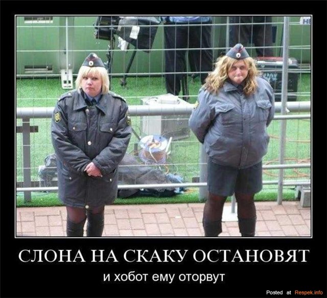 post-1340028576.jpg