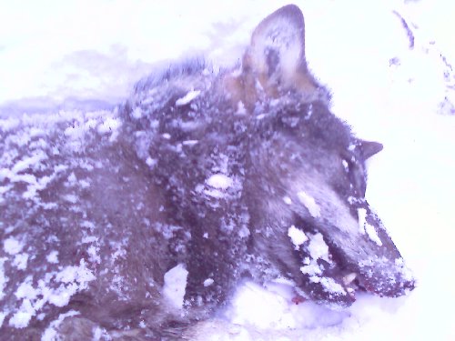 IMAGE_151.jpg