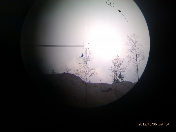IMAG0848.jpg