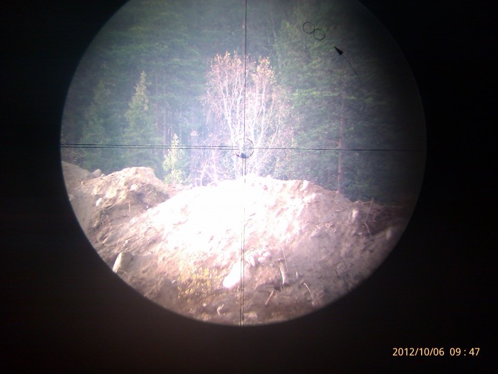 IMAG0846.jpg