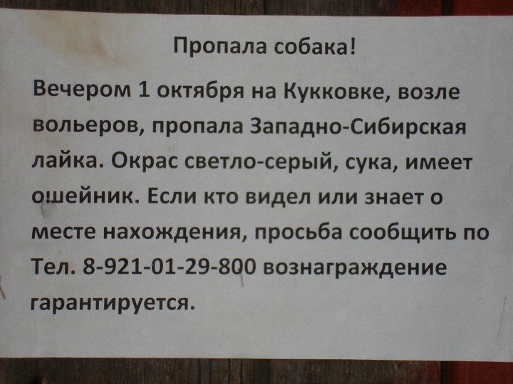 Изображение 470.jpg