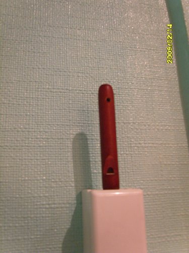 S1032654.JPG