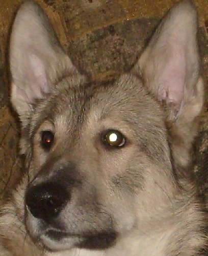 S6300089.JPG