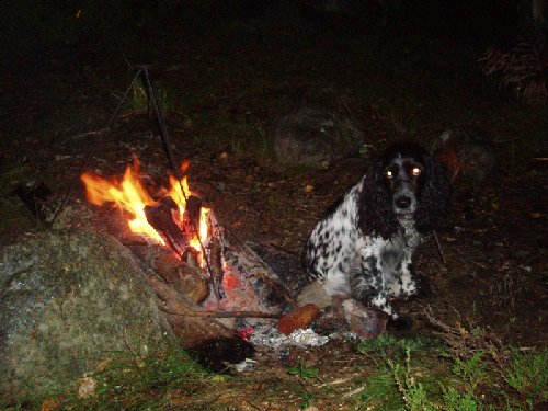 Вот такой он.