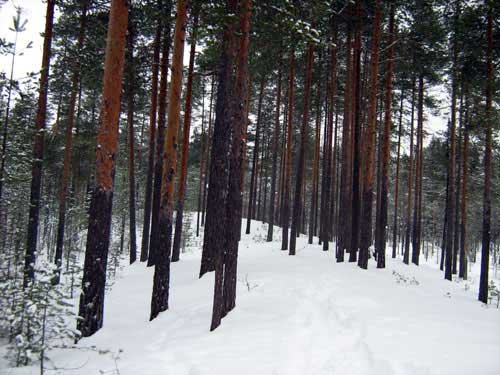 IMG_2948.jpg