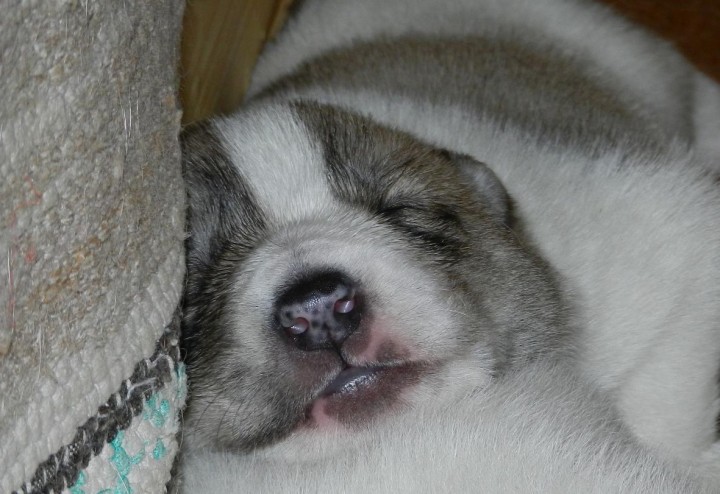 DSCN4995.jpg